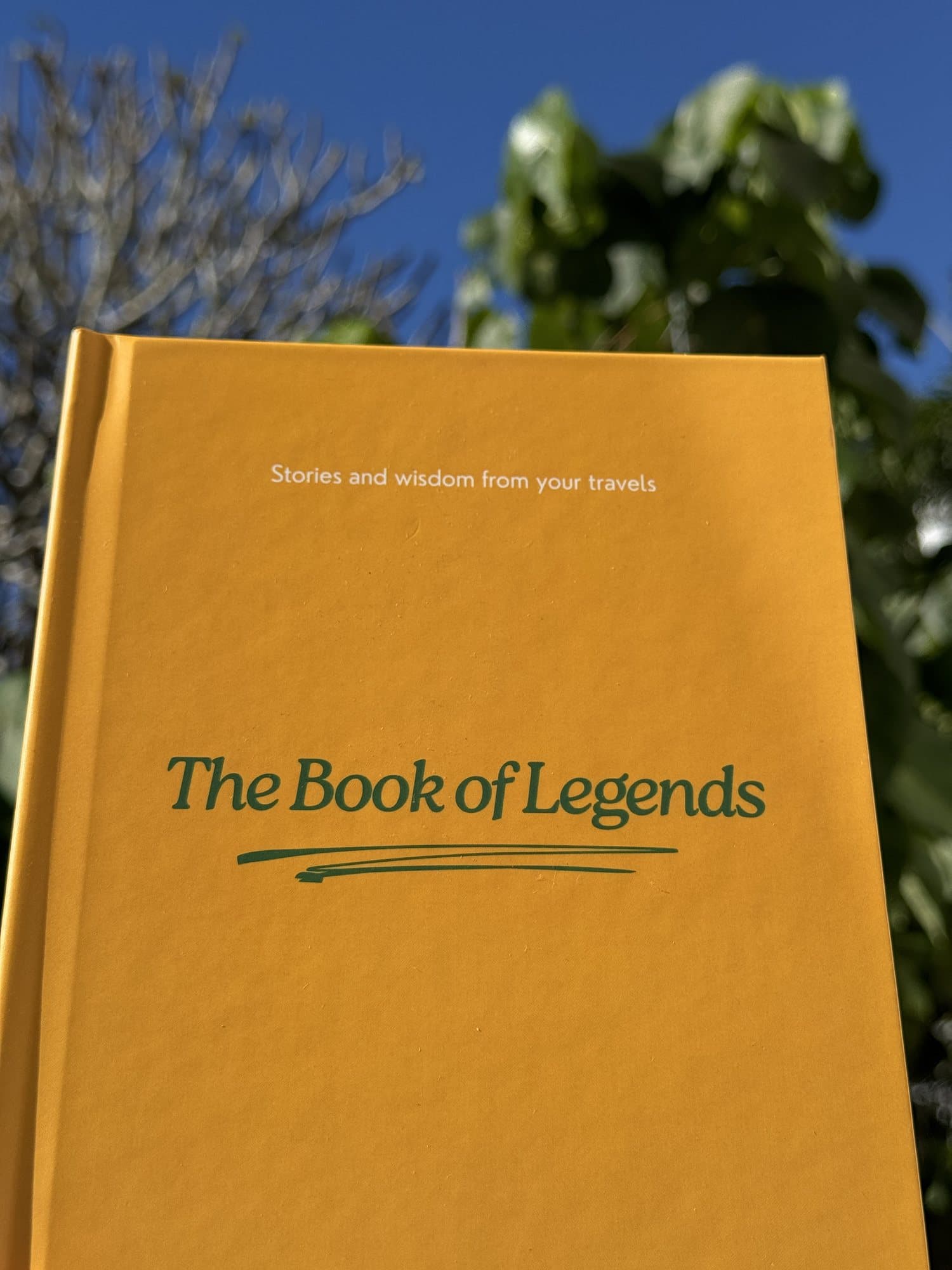 The Book of Legends held up in the sun against blue sky and green leaves